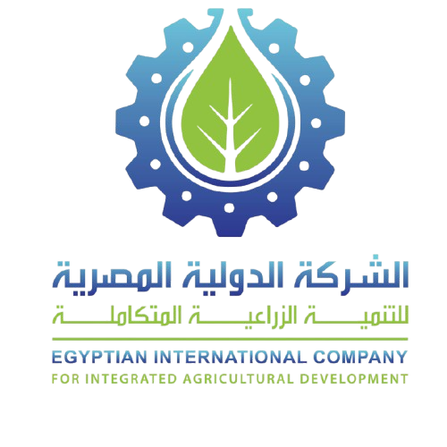 الدولية المصرية
